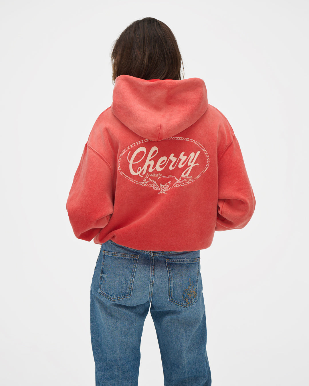 Horse Power Hoodie (Sun Faded Red)