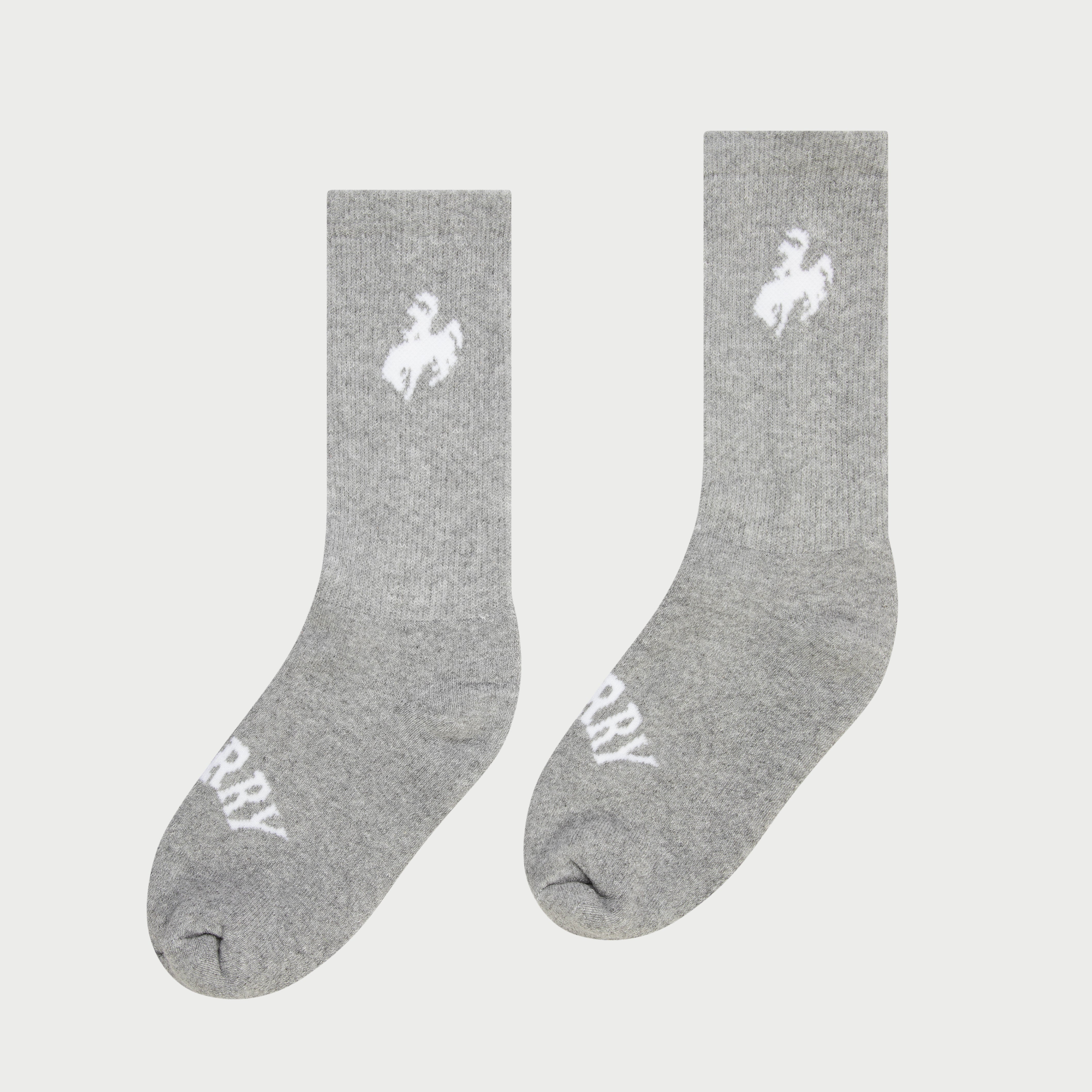 SOCKS_6_1_f2fad52c-1c68-4968-ab34-497dc0651560.jpg