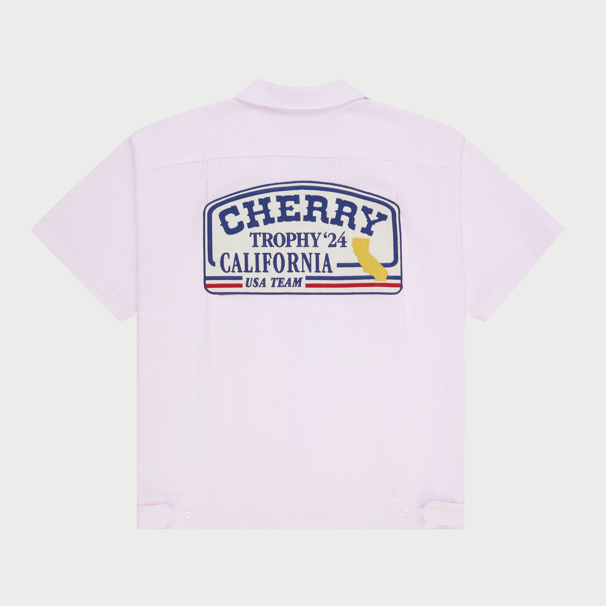 WORK_SHIRT_PINK_2.jpg