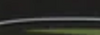 black-w-green.png