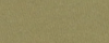 cactus-green.png