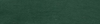 cactus.png