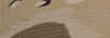 desert-camo.png