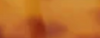 honey-tortoise.png