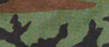 woodland-camo.png